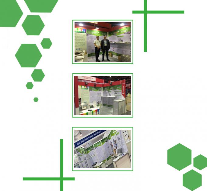 25T دقت کنترل بالا پریس ولکاناسیون صفحه 5