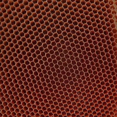 3.2mm 4.8mm اندازه سلول درجه هوافضا آرامید هسته عسل مقاومت خارق العاده در برابر خوردگی