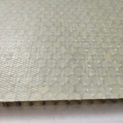 پانل ساندویچ زنبور عسل FRP سبک وزن 1000x2000mm